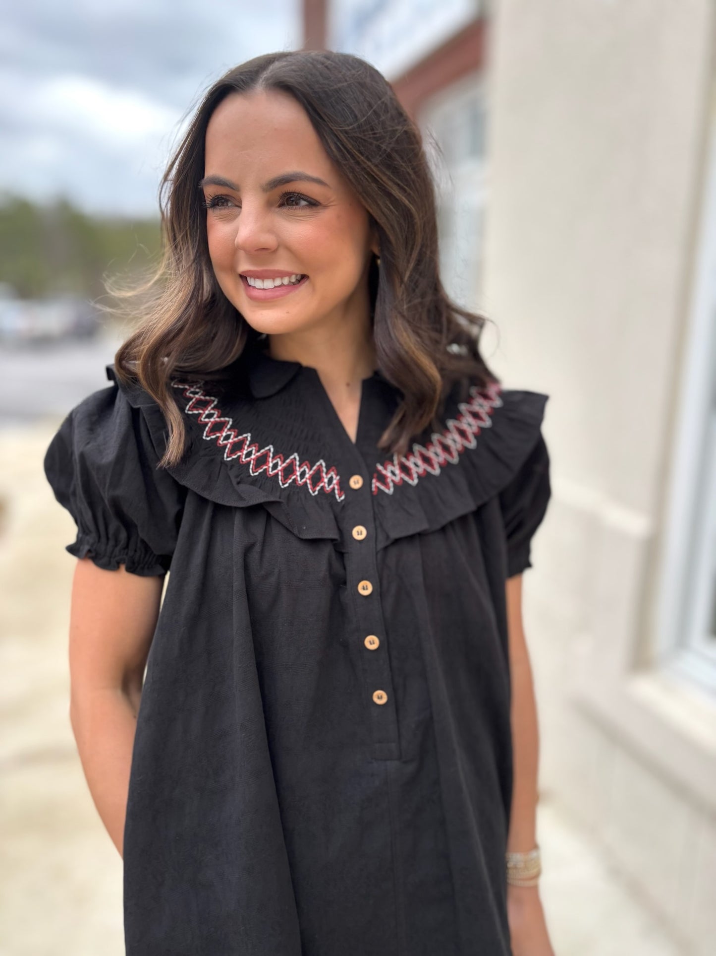 Black Embroidered Peter Pan Collared Dress